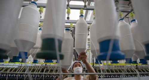 三重困境下的外貿工廠 接單、履約與收款之難，國內貿易轉型路在何方？